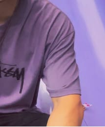 STUSSY | Tシャツ/カットソー