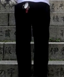 STUSSY | その他パンツ