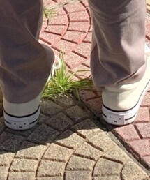 しまむら | スニーカー