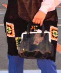 WEGO | PUハンドルがま口クリアバッグ https://zozo.jp/sp/shop/wego/goods-sale/61951262/(ショルダーバッグ)