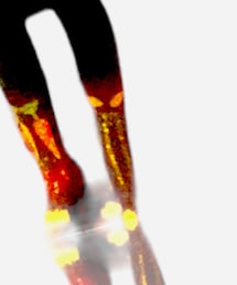 SOU･SOU | ソックス/靴下