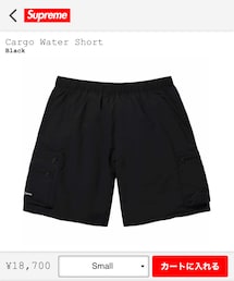 Supreme  | その他パンツ