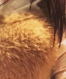 MOUSSY | トップス