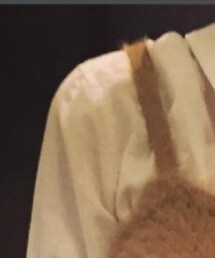 MOUSSY | シャツ/ブラウス