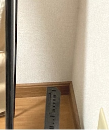 Buffalo | その他