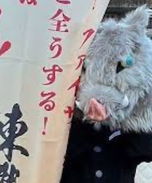 ドン・キホーテ | 帽子