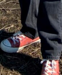 CONVERSE | スニーカー