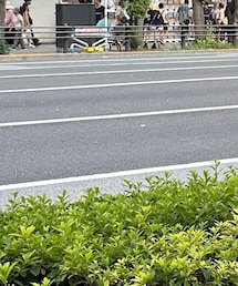 nyom | ショルダーバッグ