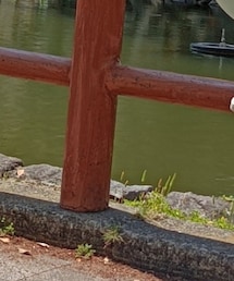 EMODA | デニムパンツ