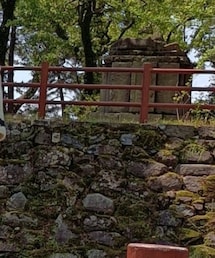 Cookjeans | シャツ/ブラウス