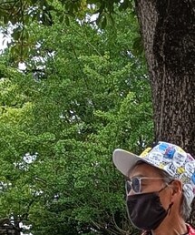 STUSSY HATS ＆NWE ERA | キャップ