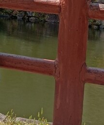 FOSSIL | デジタル腕時計