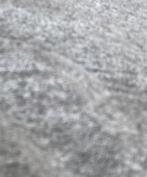 Champion | Tシャツ/カットソー