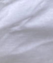STUSSY | Tシャツ/カットソー