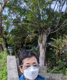 ソライズ | サングラス