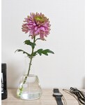 　菊🌷の「インテリア(フラワーベース)」