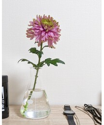 　菊🌷 | フラワーベース