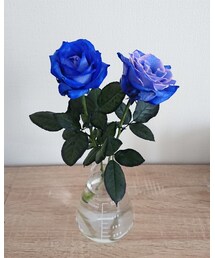 青薔薇🌹💙 | フラワーベース
