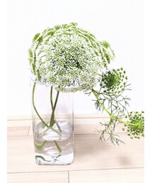 グリーンミスト💐 | フラワーベース
