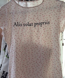 Tee | Tシャツ/カットソー