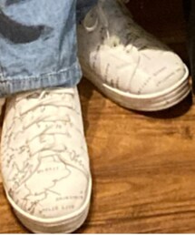 antiqua | スニーカー