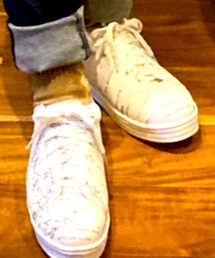 antiqua | スニーカー