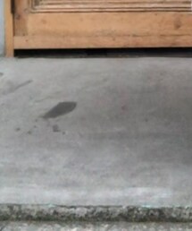 Hawkins | ドレスシューズ