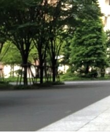 URBAN RESEARCH DOORS | チノパンツ