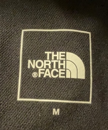 THE NORTH FACE | ザ ノース フェイス THE NORTH FACE Alpine Light Pant_アルパインライトパンツ(その他パンツ)