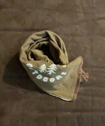 Clef | ✨手拭い✨(ストール/ショール)