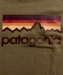 patagonia | パーカー