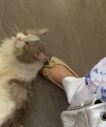 CHANEL | シューズ