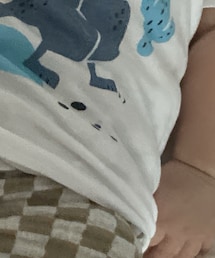 fagottino | Tシャツ/カットソー