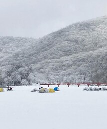 雪の国 | その他