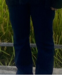 UNIQLO | デニムパンツ