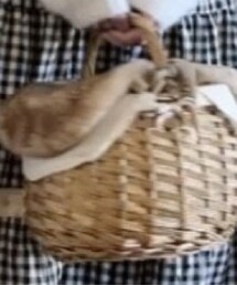 Samansa Mos2 | かごバッグ