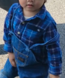 petit main | シャツ/ブラウス