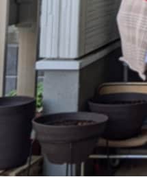 HEMING’S | エコバッグ/サブバッグ