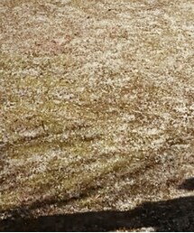 APC x Kanye West | トートバッグ