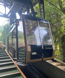ロープウェイ🚡 | 電車→ケーブルカーの後、こちらのロープウェイ🚡へ乗り換えて、比叡山山頂まで行きます⛰️(その他)