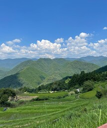 帰省中に…⛰️☀️ | 熊野古道の入り口が近くにある山の無料休憩所。冬はかなり気温が低い場所ですが、真夏は高温で最高気温が全国で3位以内に入ったりする地域。青と緑のコントラストが綺麗でした。(アウトドア/スポーツ)