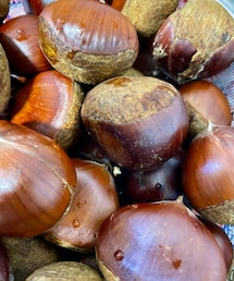 秋の味覚🌰✨ | 送られて来た🌰たち✨大きくて立派‼️栗ご飯にしたり、シンプルに茹でたり😋(その他)
