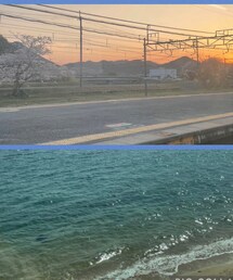 JR呉線の車窓から | 上は夕方の駅ホーム近くの桜🌸。下は線路のすぐそばに海🌊。(その他)