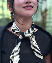 ZARA | ポケットチーフ