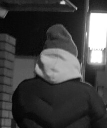 Supreme  | パーカー