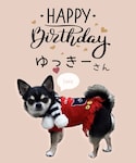 ゆっきーさん𝙷𝚊𝚙𝚙𝚢 𝙱𝚒𝚛𝚝𝚑𝚍𝚊𝚢🎂♥️の「ペットグッズ(ペットグッズ)」
