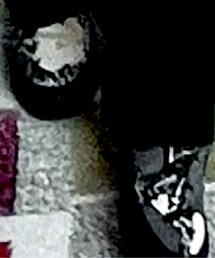 UNIQLO | スリッポン