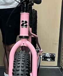 SURLY | アウトドア/スポーツ