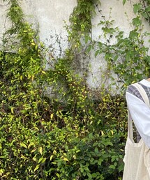 無印良品 | Tシャツ/カットソー