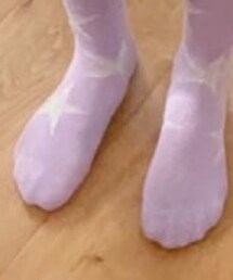 The animals observatory | ソックス/靴下